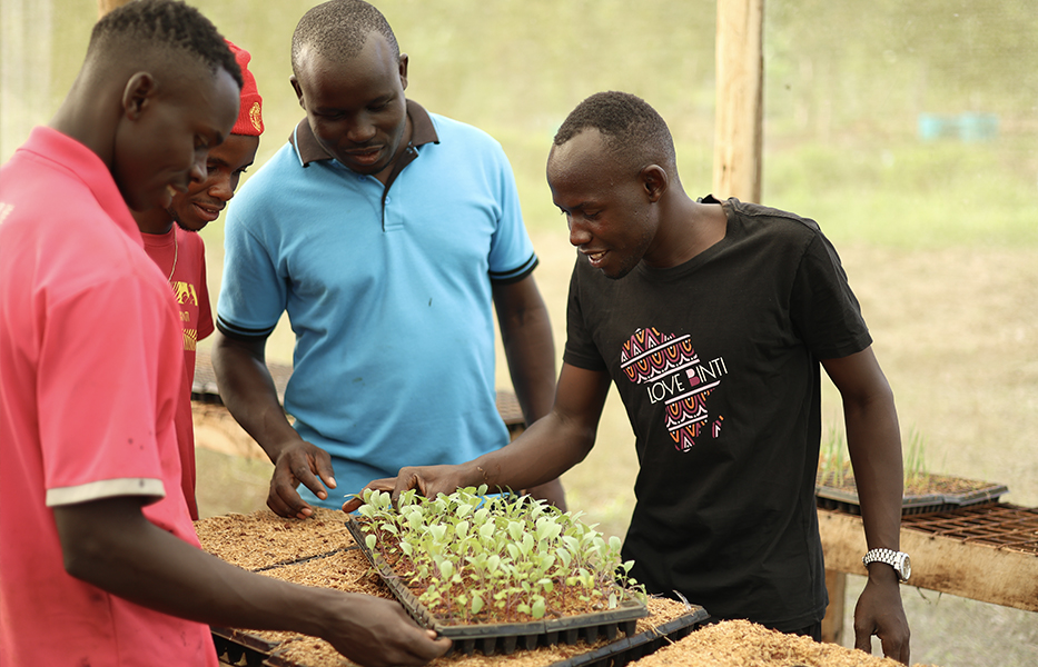 第二階段:賦權培力